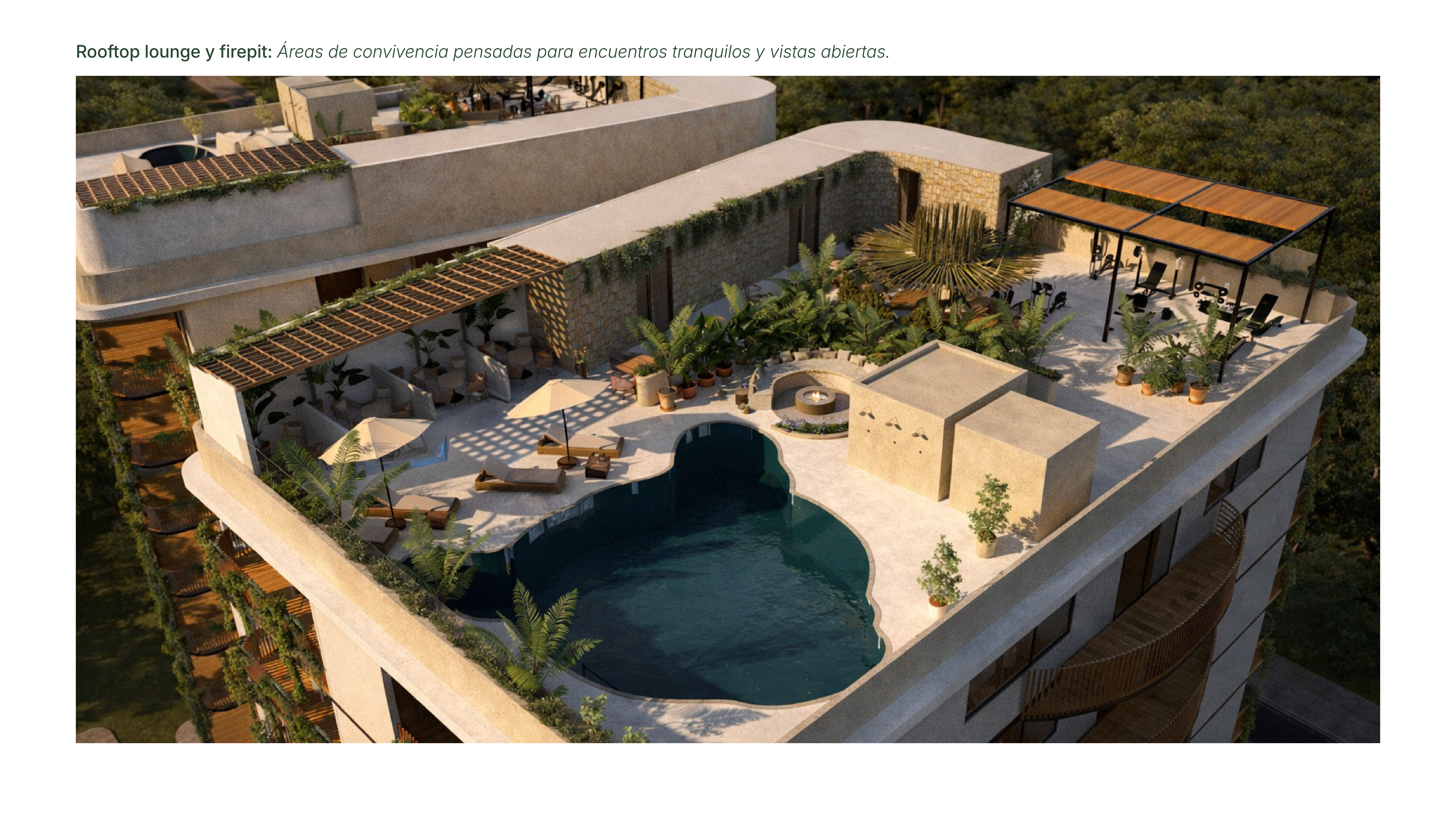 Ek Balam 36 - Rooftop Lounge